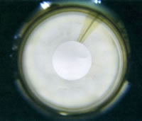 Three-piece can in-line inner surface inspection system